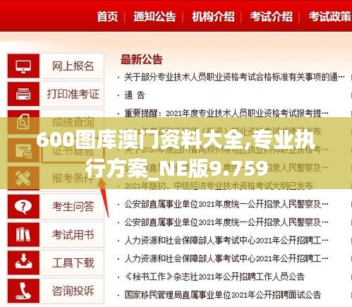 600图库澳门资料大全,专业执行方案_NE版9.759