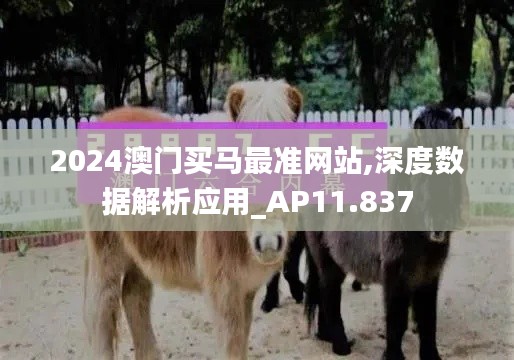 2024澳门买马最准网站,深度数据解析应用_AP11.837