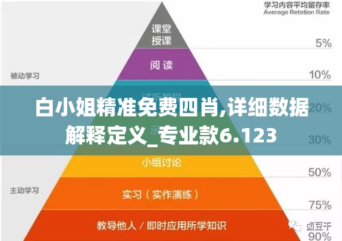 白小姐精准免费四肖,详细数据解释定义_专业款6.123