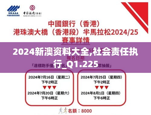 2024新澳资料大全,社会责任执行_Q1.225