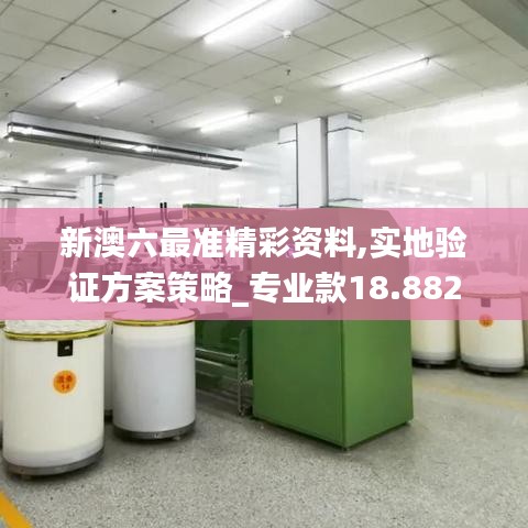 新澳六最准精彩资料,实地验证方案策略_专业款18.882