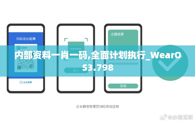 内部资料一肖一码,全面计划执行_WearOS3.798