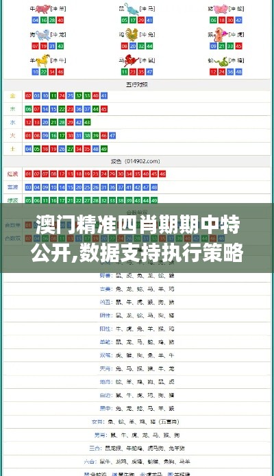 澳门精准四肖期期中特公开,数据支持执行策略_VE版4.387