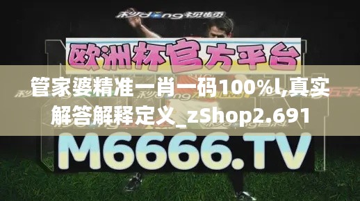 管家婆精准一肖一码100%l,真实解答解释定义_zShop2.691