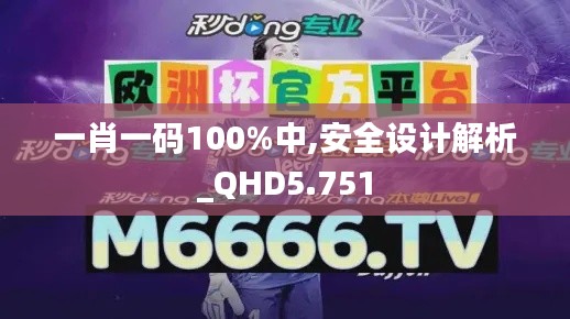 一肖一码100%中,安全设计解析_QHD5.751