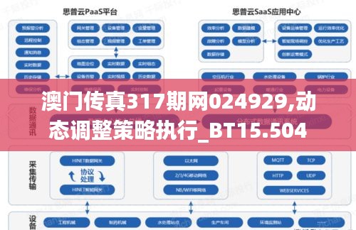 澳门传真317期网024929,动态调整策略执行_BT15.504