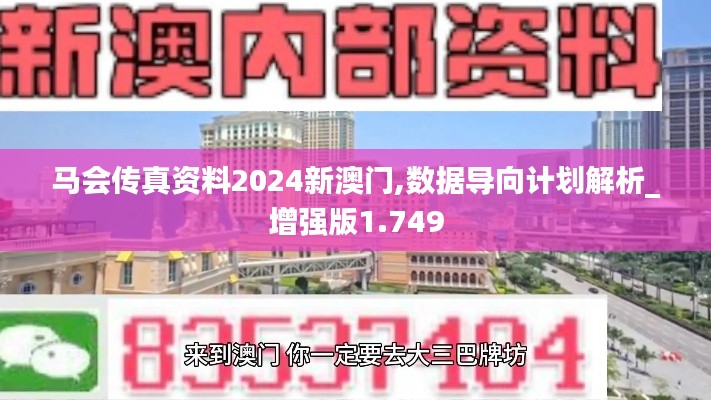 马会传真资料2024新澳门,数据导向计划解析_增强版1.749