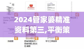 2024管家婆精准资料第三,平衡策略指导_SE版4.565