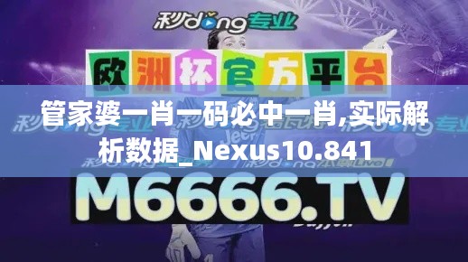 管家婆一肖一码必中一肖,实际解析数据_Nexus10.841