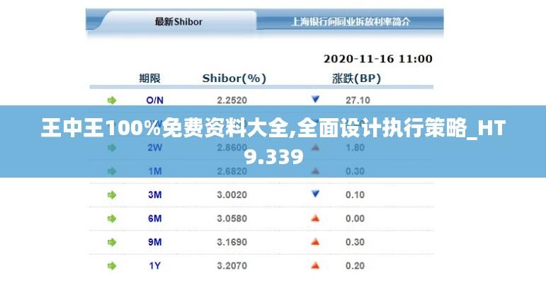 王中王100%免费资料大全,全面设计执行策略_HT9.339