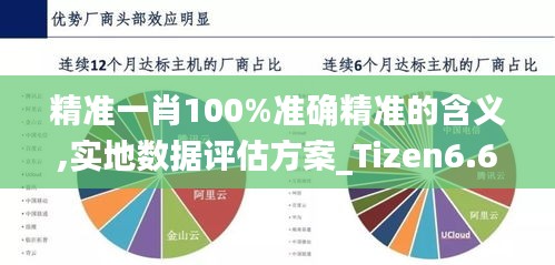 精准一肖100%准确精准的含义,实地数据评估方案_Tizen6.694