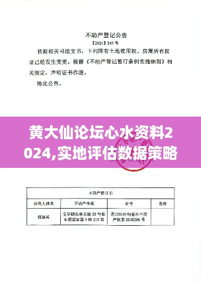 黄大仙论坛心水资料2024,实地评估数据策略_运动版3.343