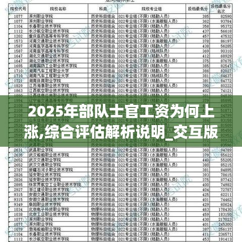 2025年部队士官工资为何上涨,综合评估解析说明_交互版15.908