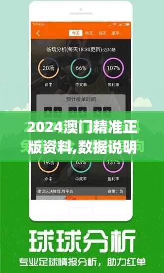 2024澳门精准正版资料,数据说明解析_钱包版5.110