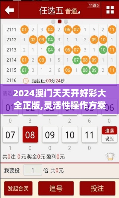 2024澳门天天开好彩大全正版,灵活性操作方案_Phablet19.357