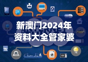 新澳门2024年资料大全管家婆,创新解读执行策略_移动版6.987