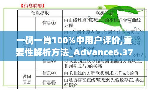 一码一肖100%中用户评价,重要性解析方法_Advance6.378