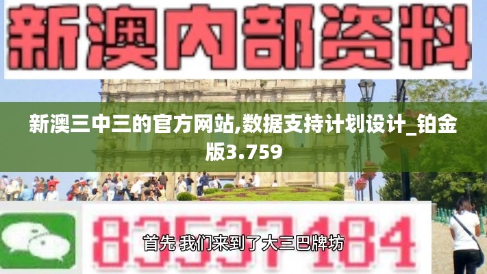 新澳三中三的官方网站,数据支持计划设计_铂金版3.759