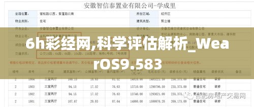 6h彩经网,科学评估解析_WearOS9.583