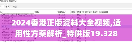 2024香港正版资料大全视频,适用性方案解析_特供版19.328