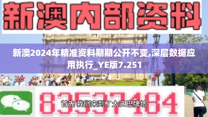 新澳2024年精准资料期期公开不变,深层数据应用执行_YE版7.251