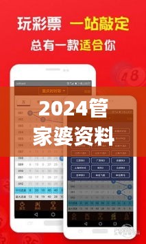 2024管家婆资料一肖,全面设计解析策略_Plus6.668