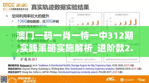 澳门一码一肖一恃一中312期,实践策略实施解析_进阶款2.336