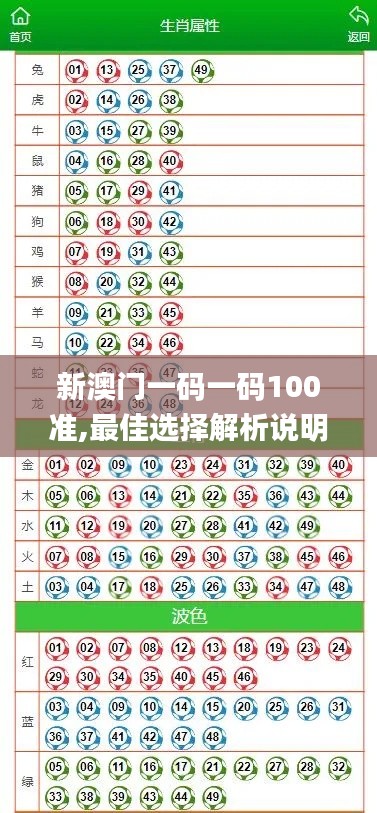 新澳门一码一码100准,最佳选择解析说明_10DM10.268