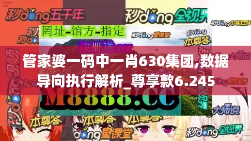 管家婆一码中一肖630集团,数据导向执行解析_尊享款6.245