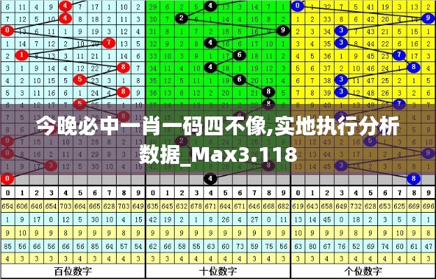 今晚必中一肖一码四不像,实地执行分析数据_Max3.118