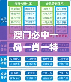 澳门必中一码一肖一特一中,系统化分析说明_macOS2.247