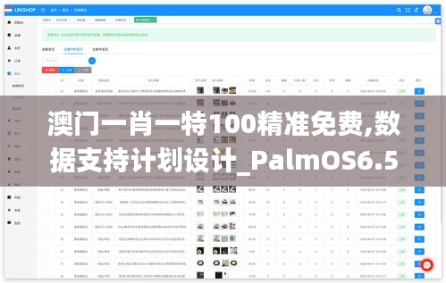 澳门一肖一特100精准免费,数据支持计划设计_PalmOS6.589