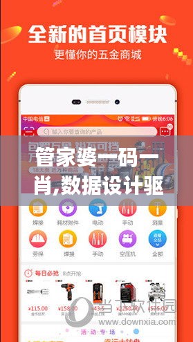 管家婆一码一肖,数据设计驱动执行_android3.991