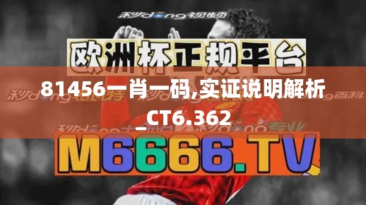 81456一肖一码,实证说明解析_CT6.362