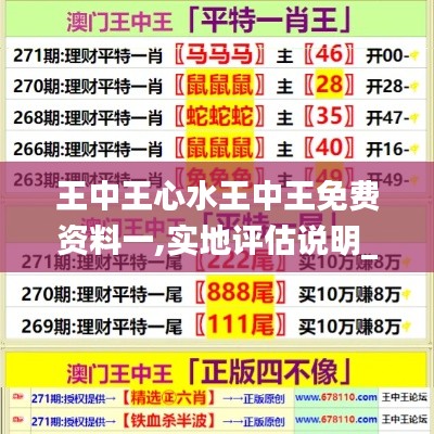 王中王心水王中王免费资料一,实地评估说明_苹果款15.239