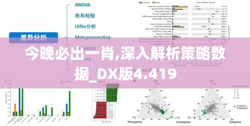 今晚必出一肖,深入解析策略数据_DX版4.419