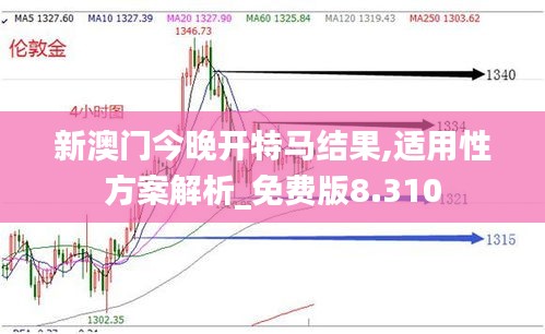 新澳门今晚开特马结果,适用性方案解析_免费版8.310