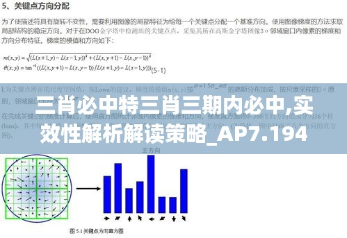 三肖必中特三肖三期内必中,实效性解析解读策略_AP7.194