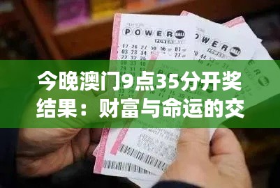 今晚澳门9点35分开奖结果：财富与命运的交汇点