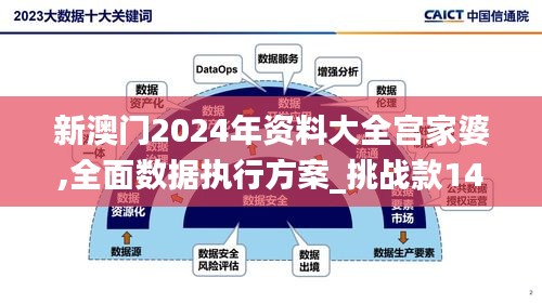 新澳门2024年资料大全宫家婆,全面数据执行方案_挑战款14.594