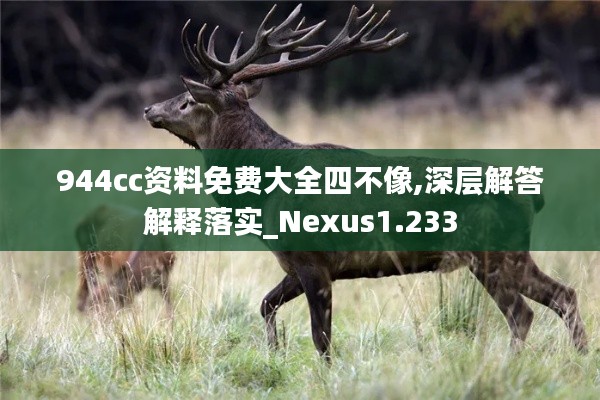 944cc资料免费大全四不像,深层解答解释落实_Nexus1.233