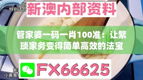 管家婆一码一肖100准：让繁琐家务变得简单高效的法宝