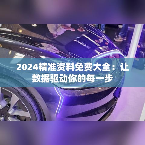 2024精准资料免费大全：让数据驱动你的每一步