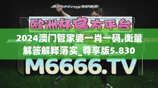 2024澳门管家婆一肖一码,衡量解答解释落实_尊享版5.830