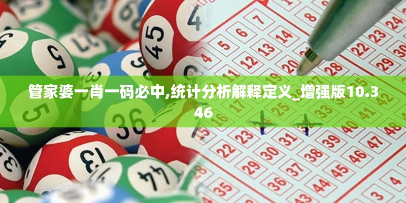 管家婆一肖一码必中,统计分析解释定义_增强版10.346