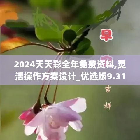 2024天天彩全年免费资料,灵活操作方案设计_优选版9.319