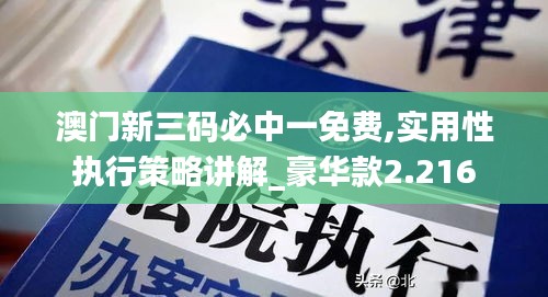 澳门新三码必中一免费,实用性执行策略讲解_豪华款2.216