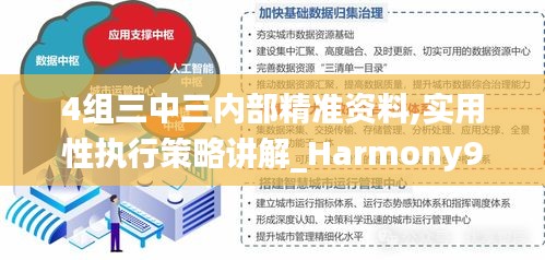 4组三中三内部精准资料,实用性执行策略讲解_Harmony9.328