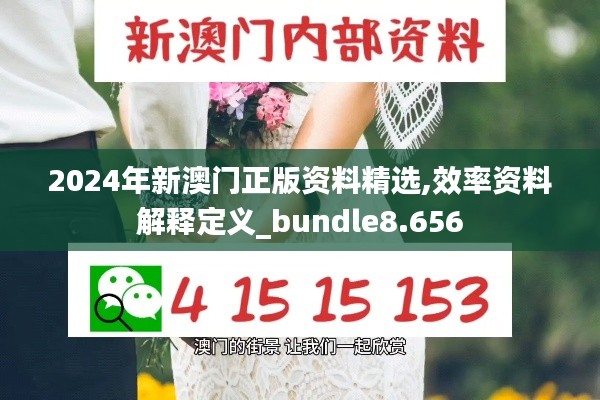 2024年新澳门正版资料精选,效率资料解释定义_bundle8.656