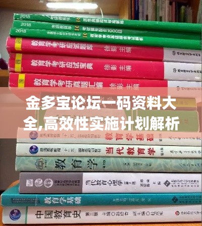 金多宝论坛一码资料大全,高效性实施计划解析_XR10.232